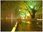 DSCF4547