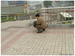 DSCF4596