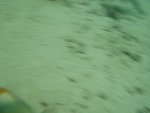 06_1113_104311
