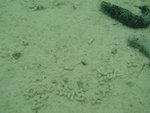 06_1113_104338
