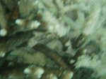 06_1113_104448