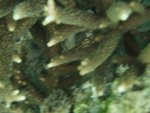 06_1113_104714