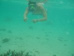 06_1113_105605