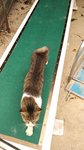IMG_20160926_143210