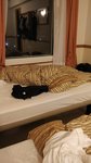 IMG_20160927_003309