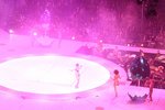 IMG_8701