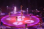 IMG_8728