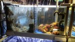 IMG_20171207_012915