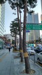 IMG_20171208_144848_HDR