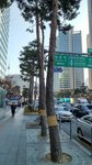 IMG_20171208_144850_HDR