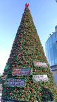 IMG_20171209_145036_HDR