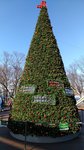IMG_20171209_145118