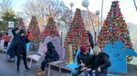 IMG_20171209_145150_HDR