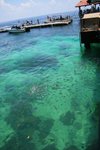 IMG_2113