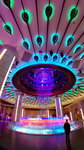 IMG_20140419_214649_1