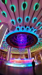 IMG_20140419_214649_2