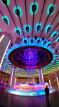IMG_20140419_214649_3