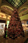 IMG_1341