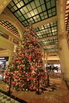 IMG_1372