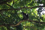 IMG_6502