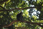 IMG_6522