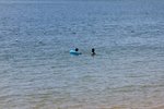 IMG_6532