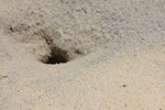 IMG_6544