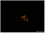 DSCF1149