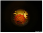 DSCF1153