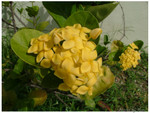 DSCF2047