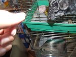 DSCF3855