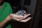DSCF3891