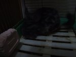DSCF3895