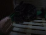 DSCF3896