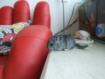 DSCF3938
