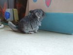 DSCF3942