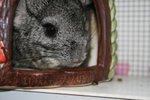 IMG_0075