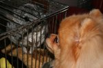 IMG_0077