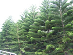 DSCF1924