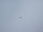 DSCF1930