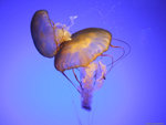 DSCF1936