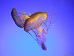 DSCF1937