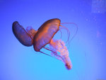 DSCF1938