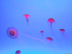 DSCF1940