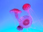 DSCF1943