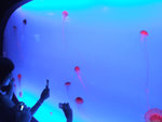 DSCF1955