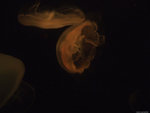 DSCF1962