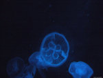 DSCF1969
