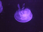 DSCF1973