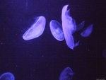 DSCF1975